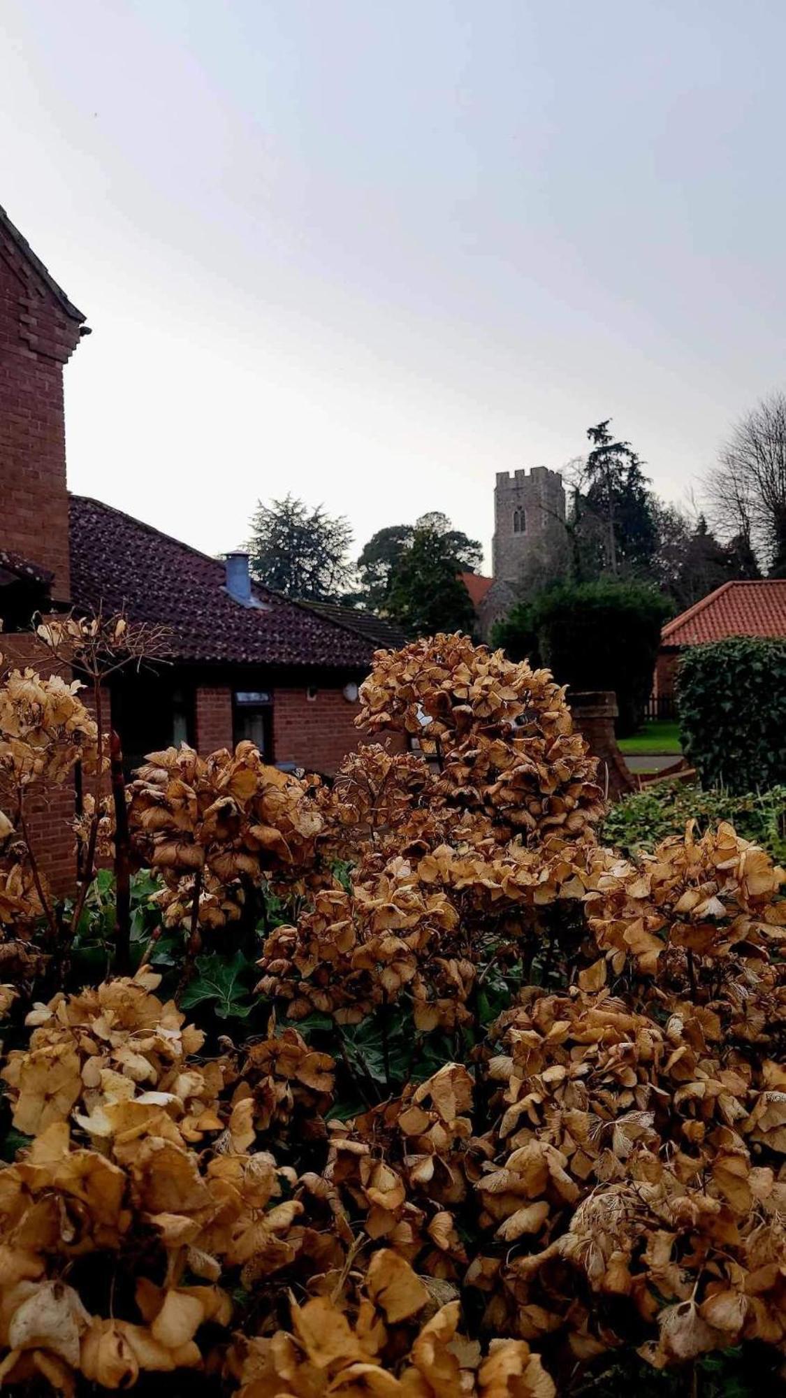 Church Farm Guest House Horsford Eksteriør billede